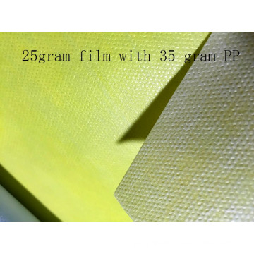 PP Spunbond anti-slip Material coated PE film
